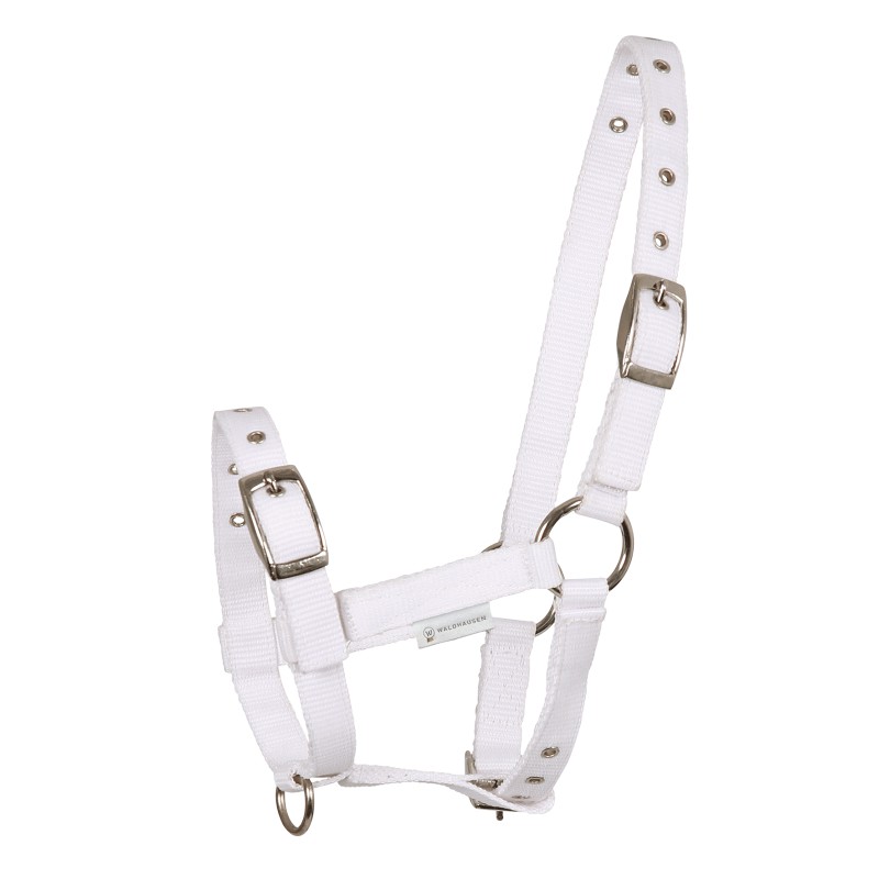 Halster Triple voor veulens