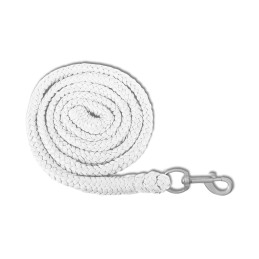 Economisch Halstertouw - karabijnhaak