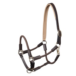 Nevada Gewichtheffen