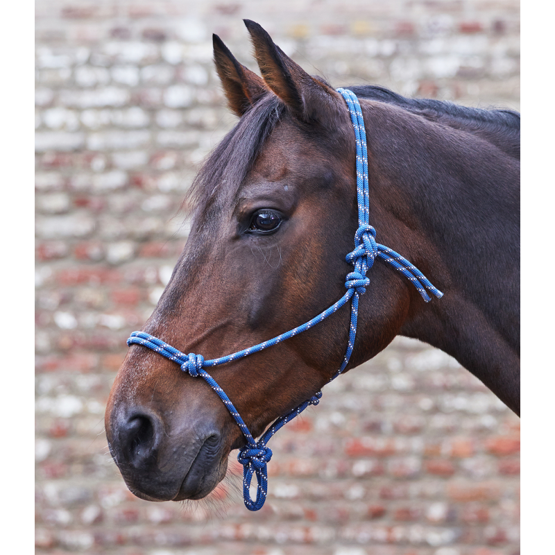 Knoophalster donker blauw / taupe