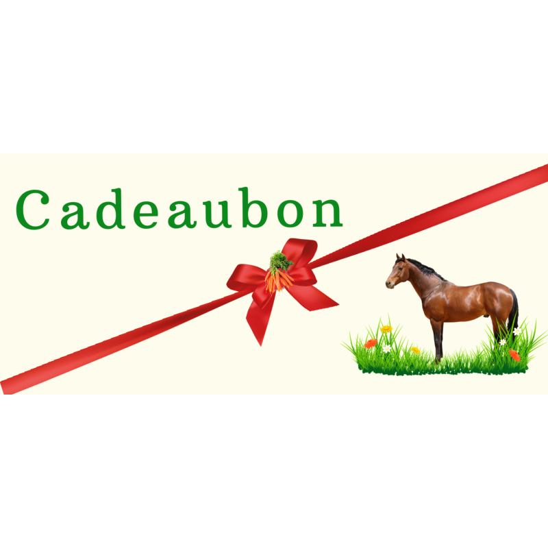 Cadeaubon Giftcard €50,-