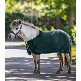 ECONOMISCHE Fleecedeken