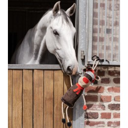 Rudi het Rendier
