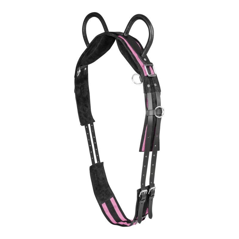 Singel met twee hengsels