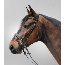 STAR Hoofdstel Diamant