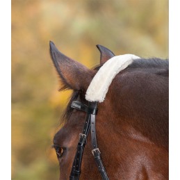 Neus- of nekbeschermer