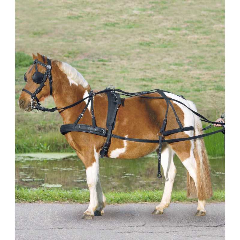 STAR Synthetisch Borsttuig Enkel Tuig, Pony en Shetty