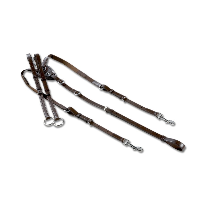 Waldhausen X-Line Borsttuig