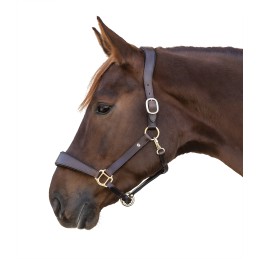 Waldhausen X-Line Leren Houder Anatomisch