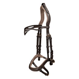 Anatomisch IJslands Hoofdstel