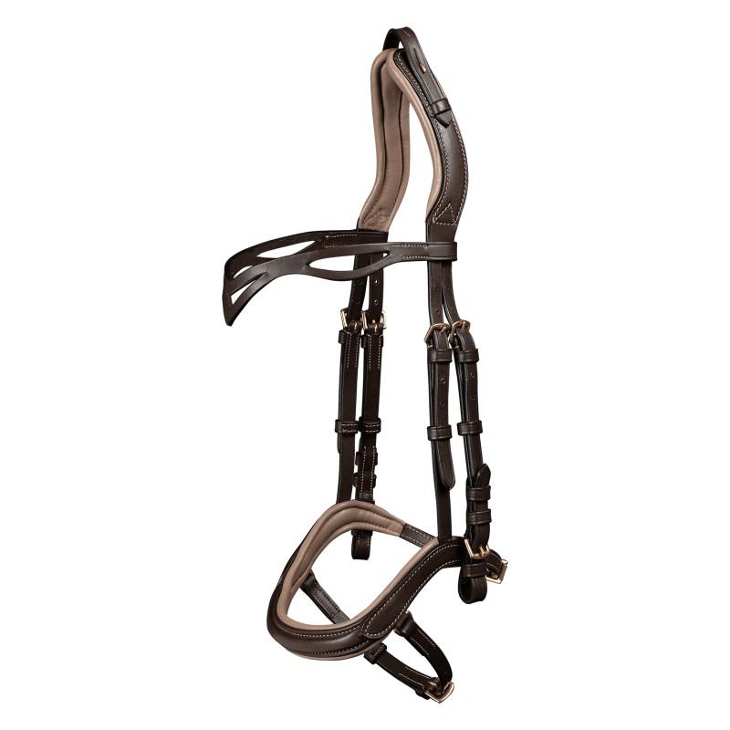 Anatomisch IJslands Hoofdstel