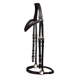 Ice IJslands Trenshoofdstel