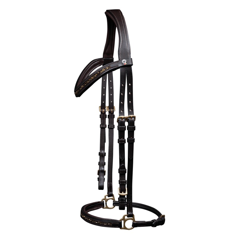 Ice IJslands Trenshoofdstel