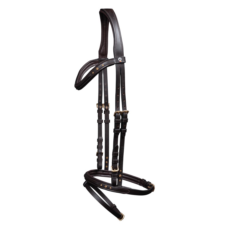 Stenen IJslands Trenshoofdstel