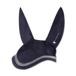 Competitie Vliegensluier